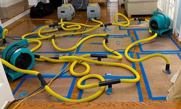 Professional Flood Damage Restoration technician working in Haddonfield, NJ