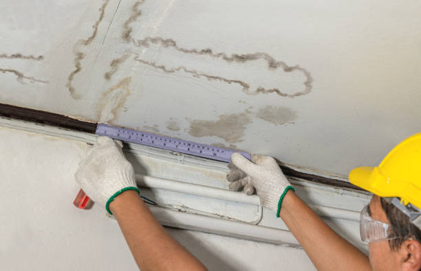 Affordable Water Damage Repair solutions in Haddonfield, NJ